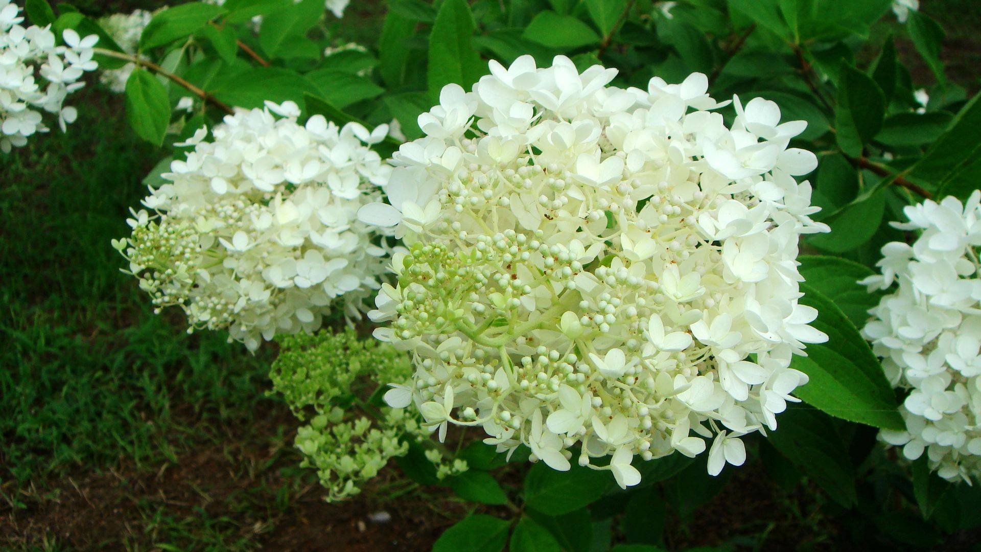 ky集团首页：
11月7日星座运势：一气呵成 稳操胜券的四大星座(图2)