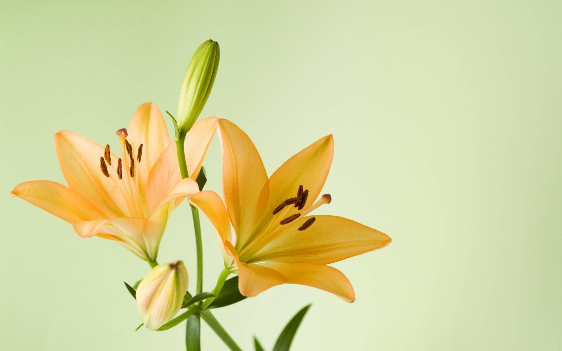 ky集团首页：
11月7日星座运势：一气呵成 稳操胜券的四大星座(图6)