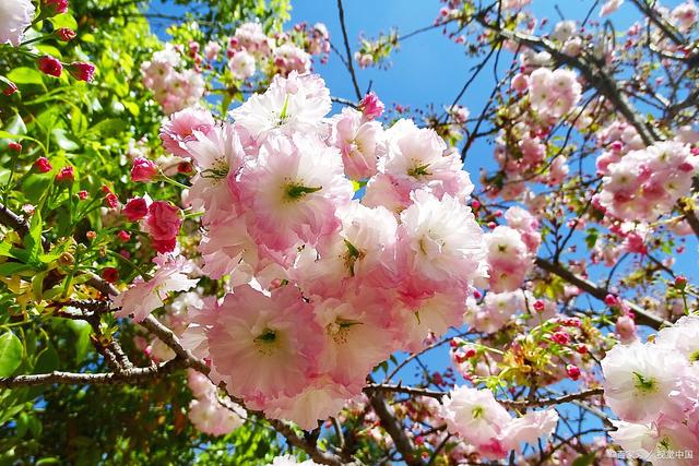 KY开元集团官网