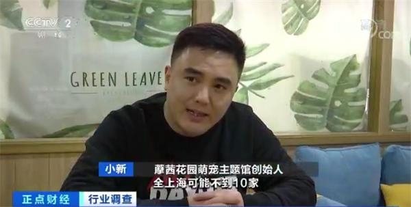 KY开元集团官网